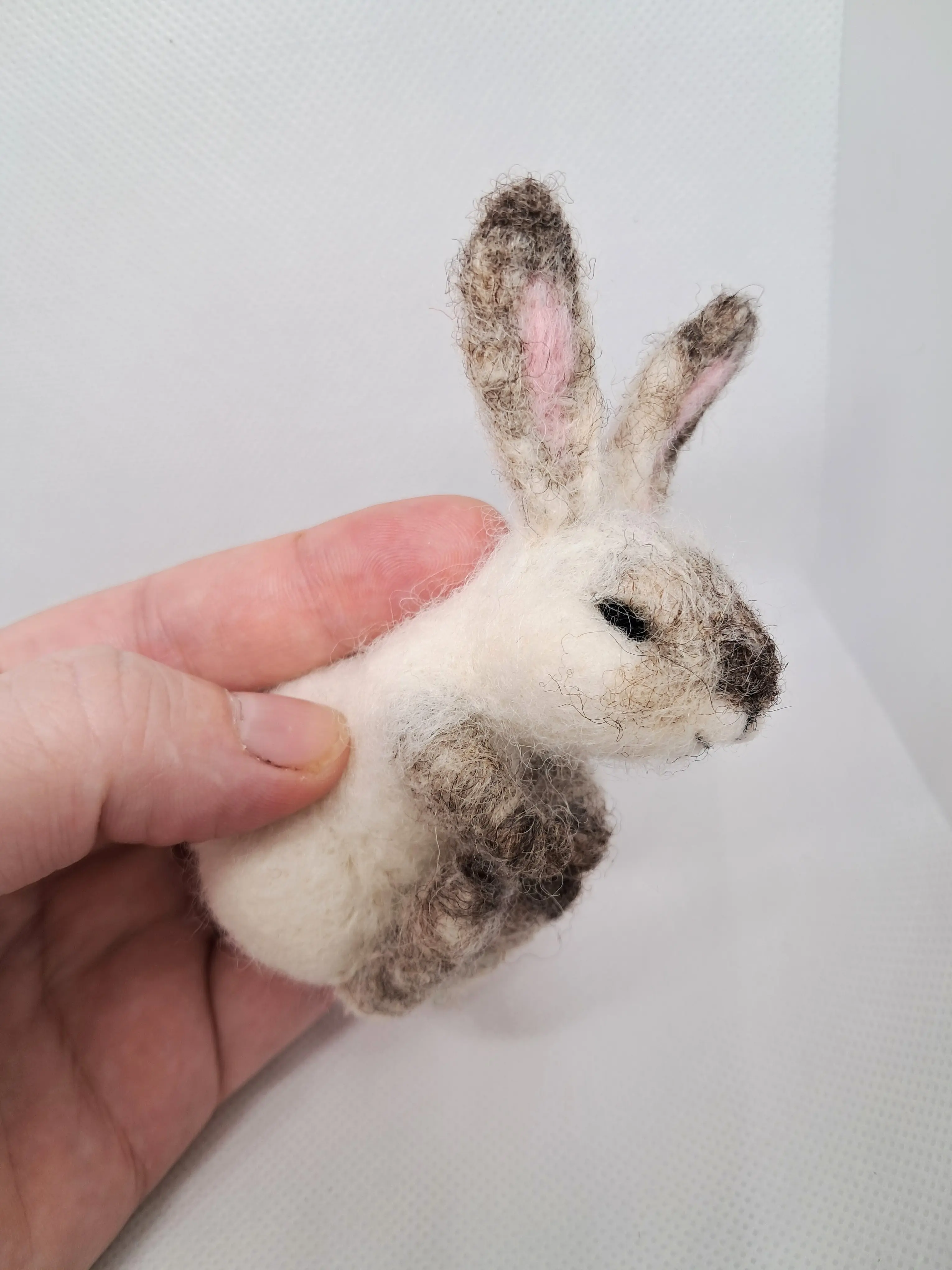 Бял Заек – thumbnail 5