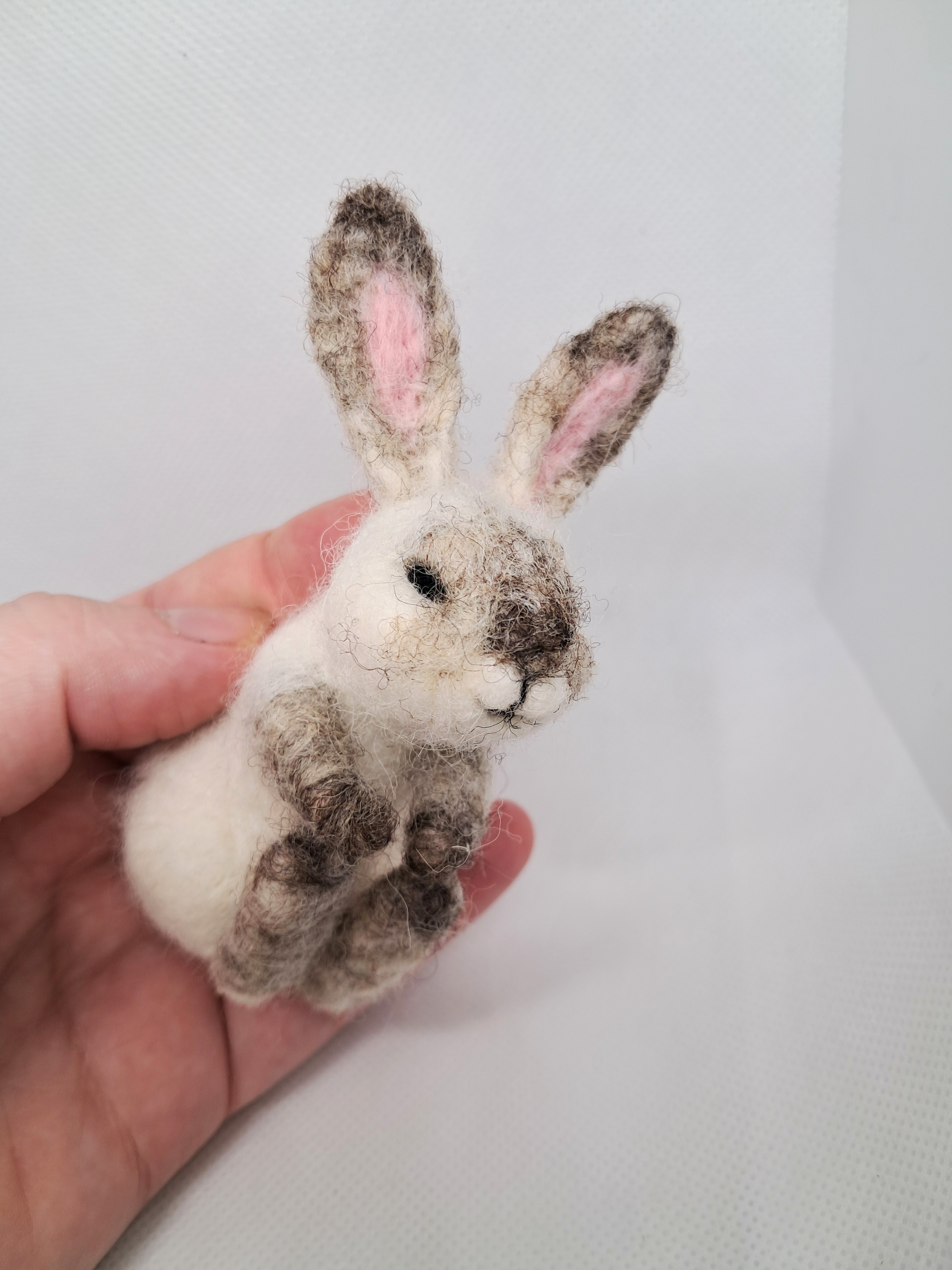 Бял Заек – thumbnail 6