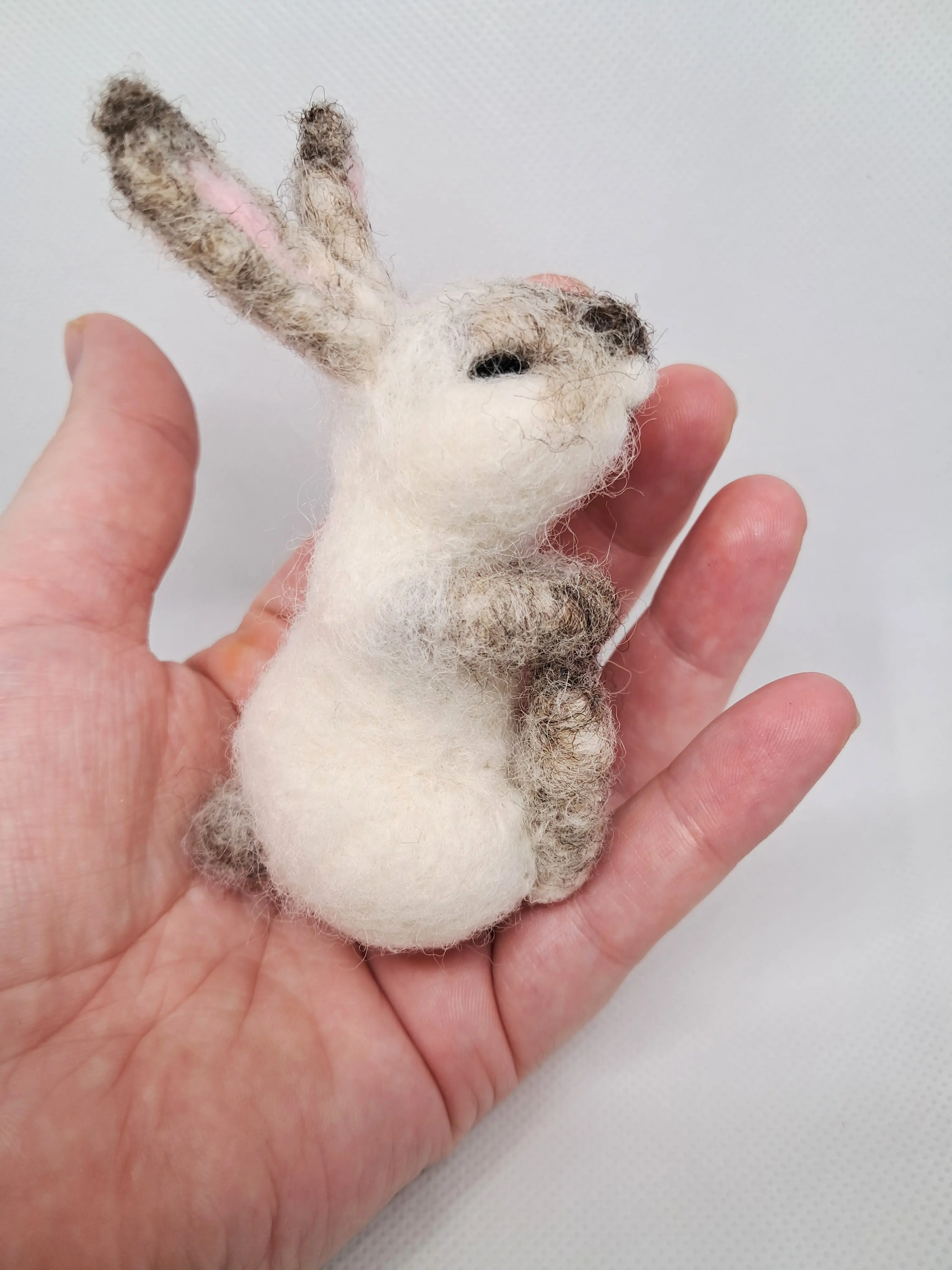 Бял Заек – thumbnail 3